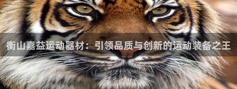 球客岛官方正版app娱乐平台：衡山嘉益运动器材：引领品质与创