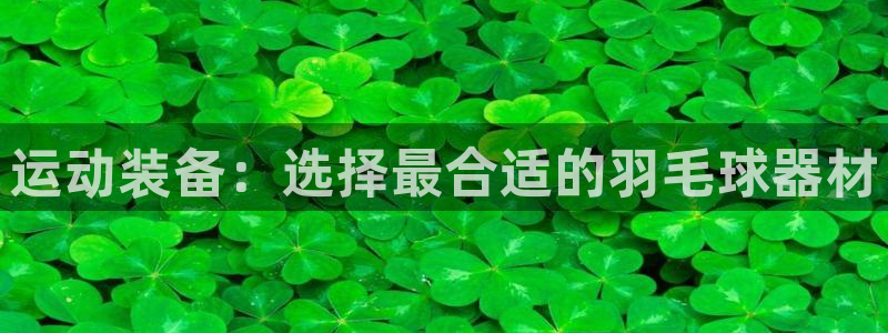 球客岛官方正版app科技：运动装备：选择最合适的羽毛球器材