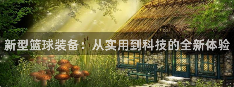 球客岛官网下载平台是正规平台吗安全吗：新型篮球装备：