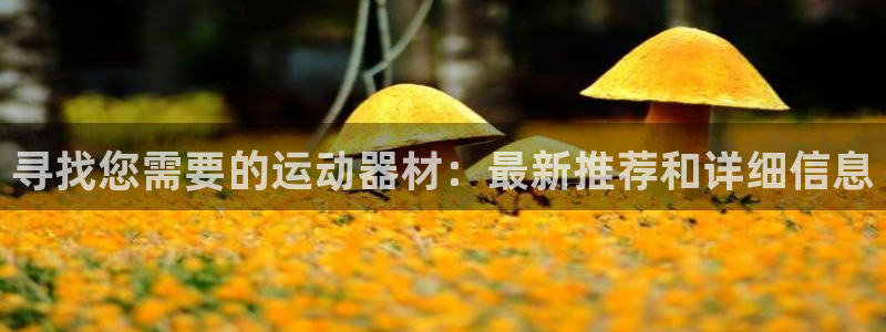 球客岛官方正版app娱乐代理怎么样：寻找您需要的运动器材：最