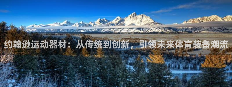 球客岛官方正版app娱乐40996：约翰逊运动器材：从传统到