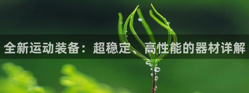 球客岛官网下载招商电话地址是多少：全新运动装备：超稳定、高性
