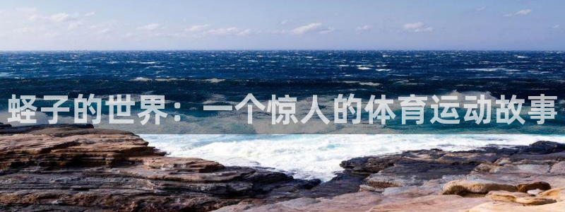 3377体育app官网下载地址