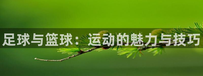 3377体育手机平台