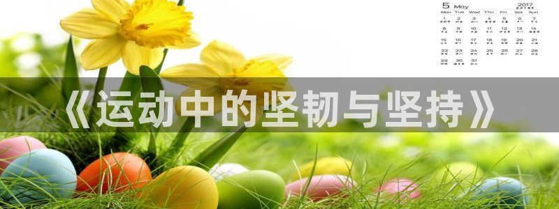 3377体育全网