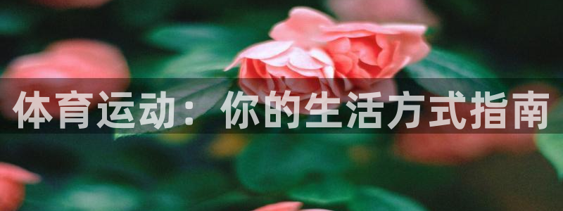 3377体育官方app下载：体育运动：你的生活方式指南
