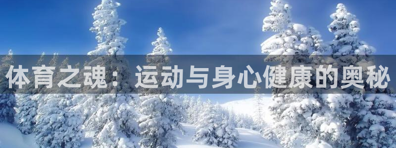 3377体育在线：体育之魂：运动与身心健康的奥秘