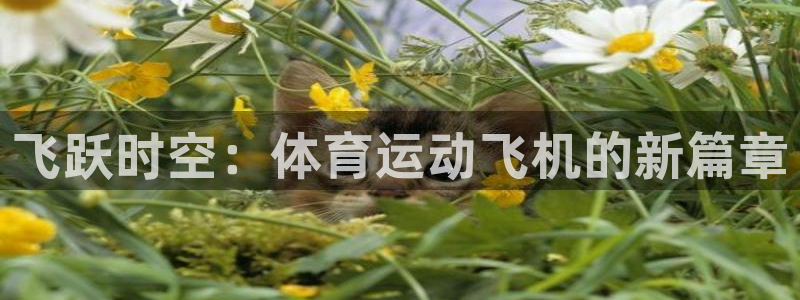 3377体育app下载安装