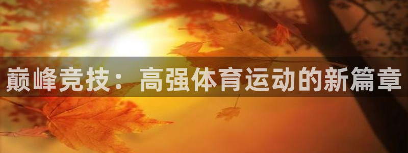 3377体育全网