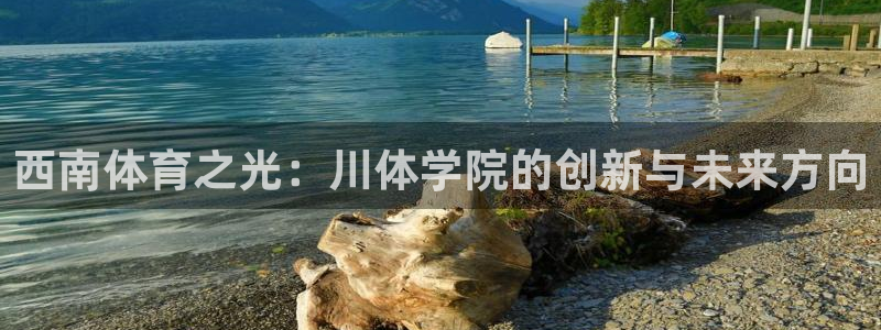 3377体育网页登录入口：西南体育之光：川体学院的创新与未来方向
