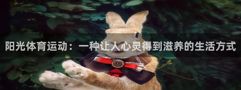 3377体育