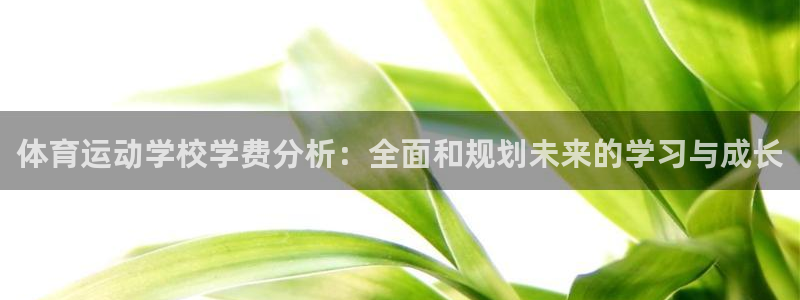 3377体育官网入口下载最新