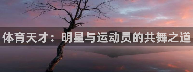 3377体育是正规的吗：体育天才：明星与运动员的共舞之道