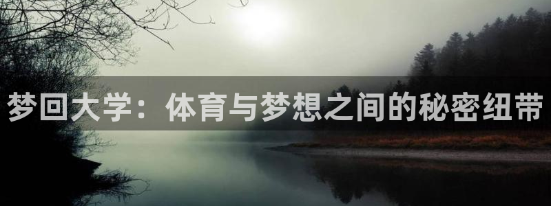 3377体育：梦回大学：体育与梦想之间的秘密纽带