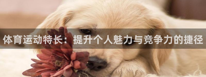 3377体育官网入口网页版