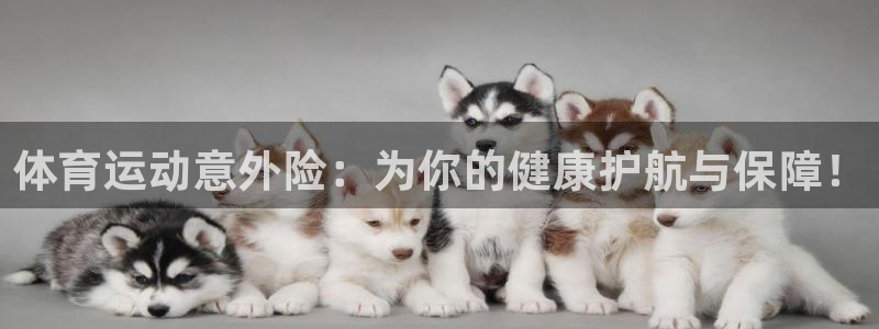 3377体育靠谱吗