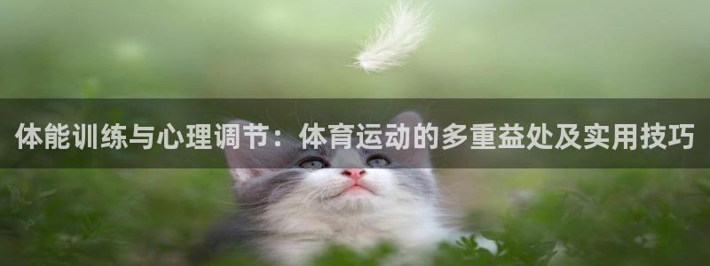 3377体育app下载安装