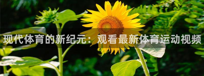 3377体育(中国)官方网站