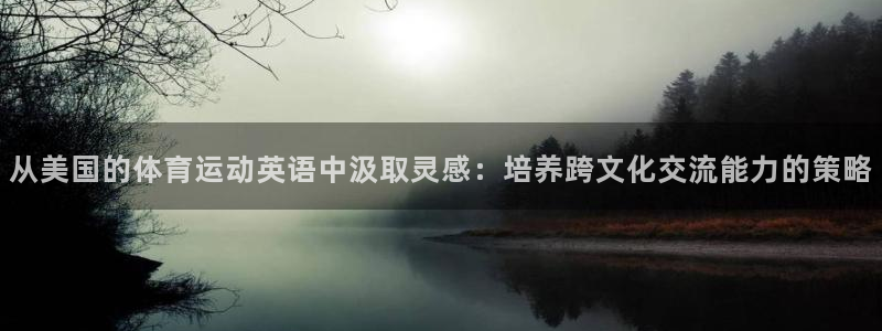 3377体育官网入口网页版